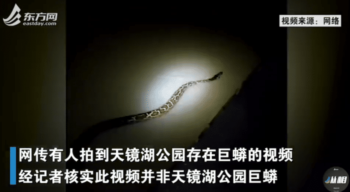 紧急通知：天镜湖公园疑似有巨蛇出没，游客请注意了