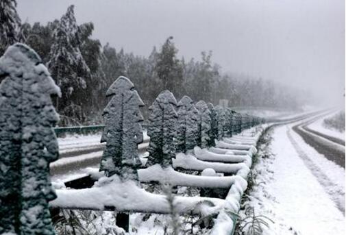 深秋的漠河迎来大雪，宛如童话的世界开始了