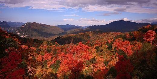 秋末之景3--光雾山