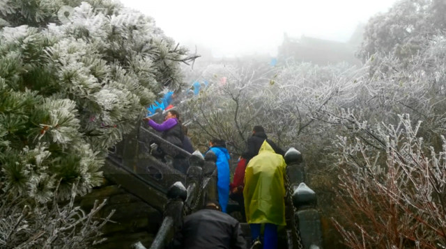 武当山下2020年的初雪了的雪后武当山的雾凇雪景5