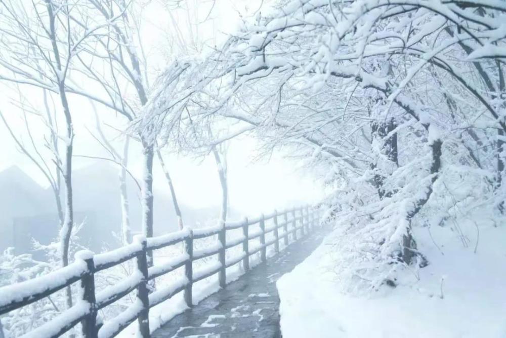 云台山雪景2