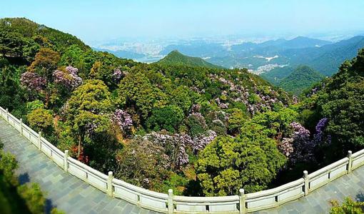 深圳十大热门旅游景点排行--1、梧桐山风景区