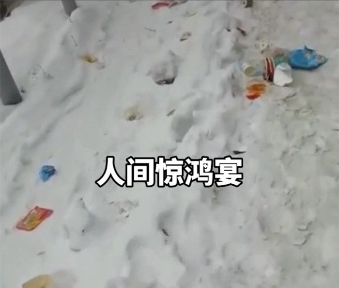 老君山上出现游客乱丢垃圾的不文明现象3