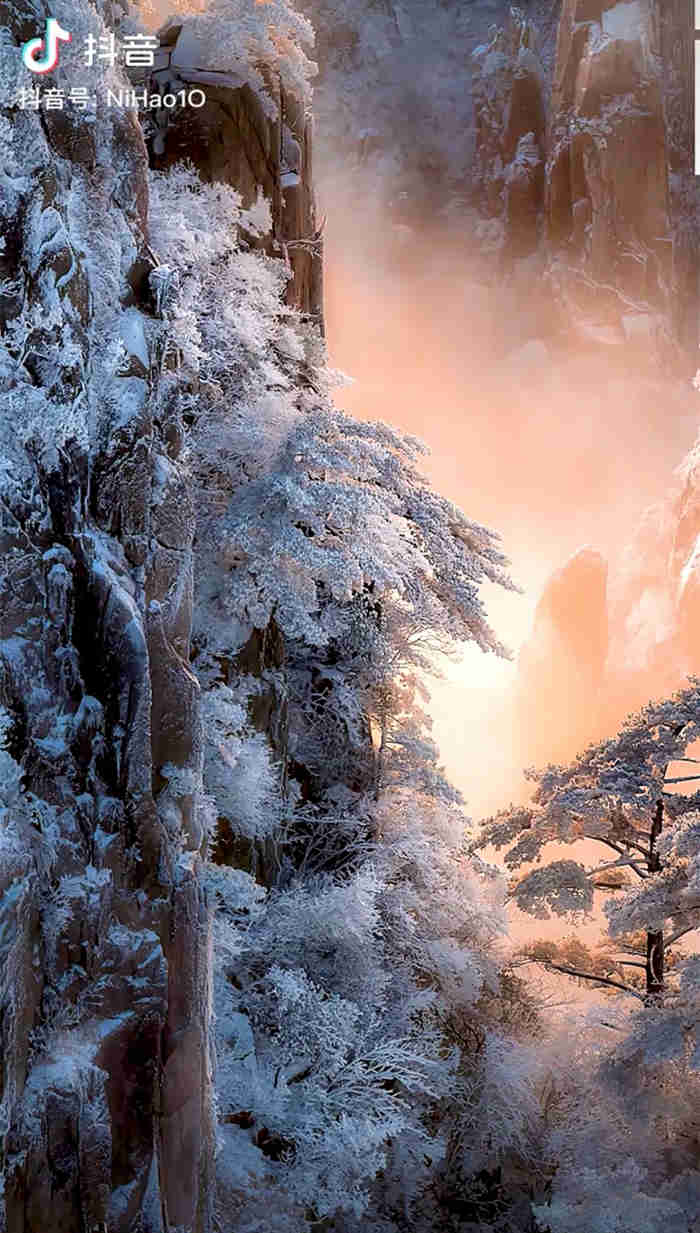 一组美得让人窒息的雾凇雪景1