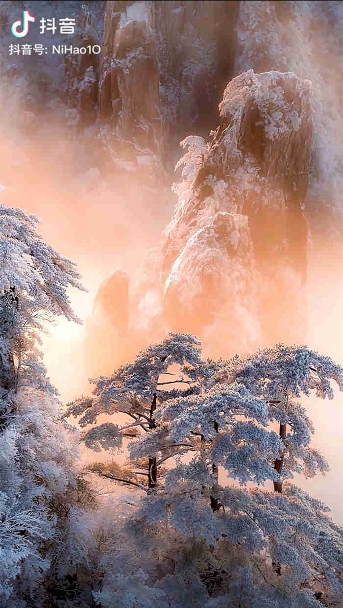 一组美得让人窒息的雾凇雪景3