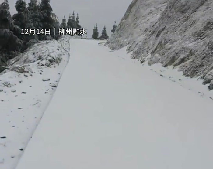 公路也被白雪覆盖