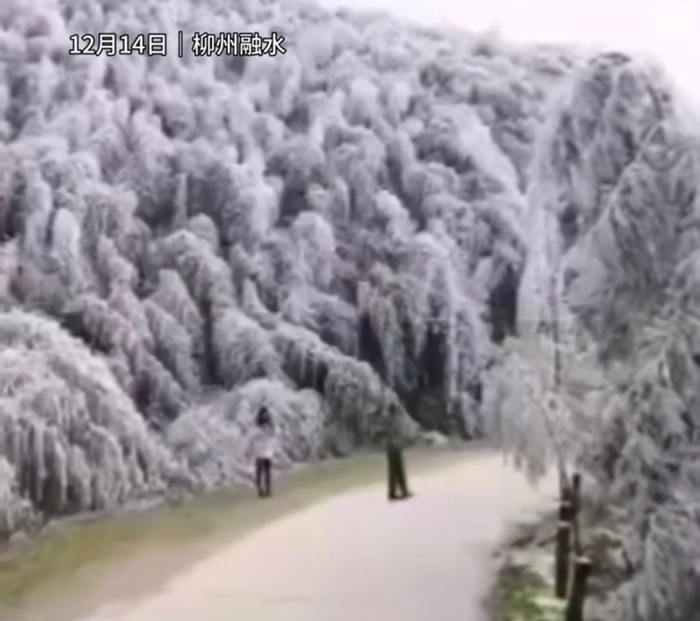 美丽的雾凇雪景