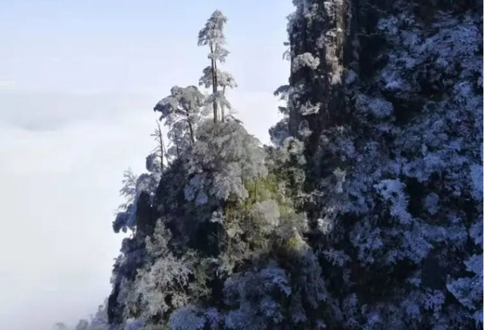 五指峰上美丽的雾凇雪景