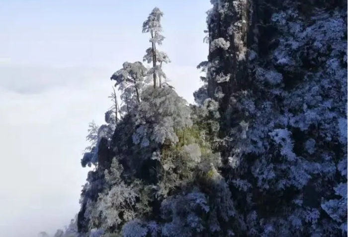 莽山五指峰的雾凇雪景，仿佛把五指峰精雕了一般