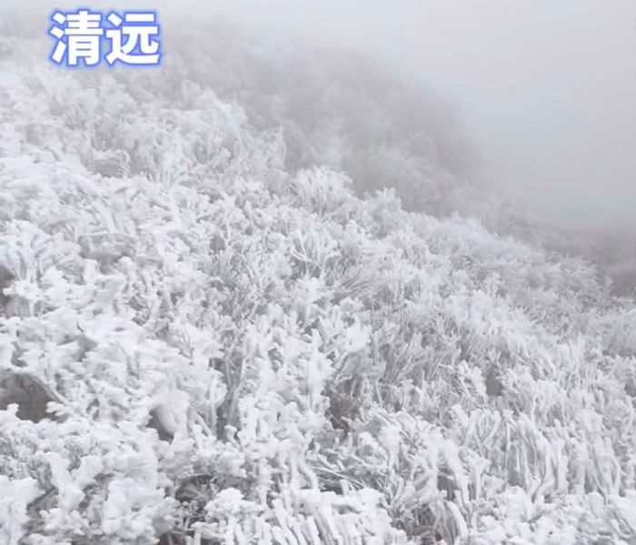 广东清远的雾凇雪景