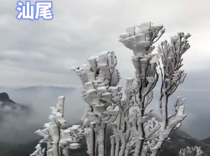 广东汕尾的雾凇雪景
