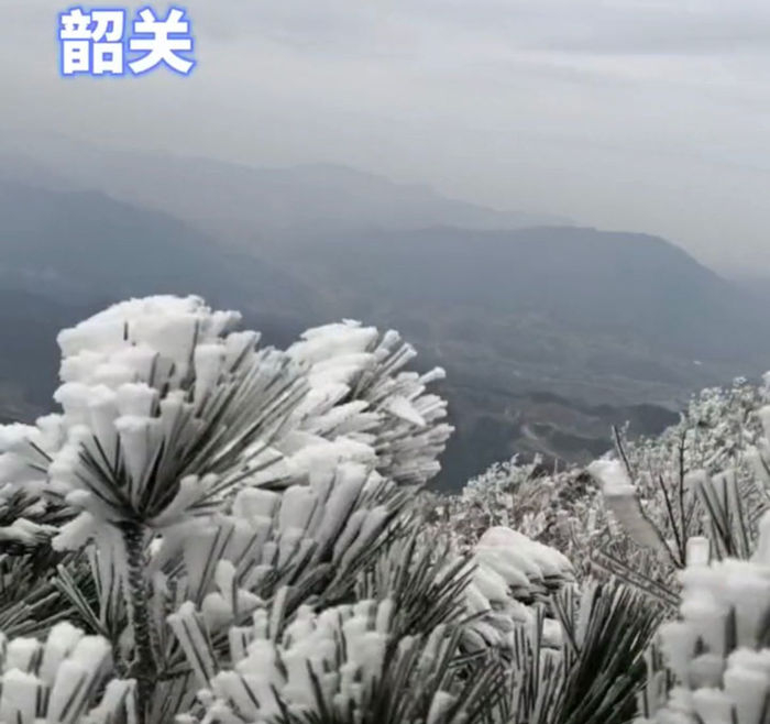 广东茂名的雾凇雪景
