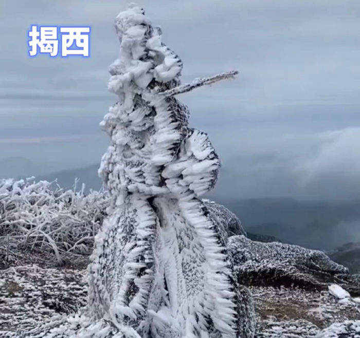 广东揭西的雾凇雪景