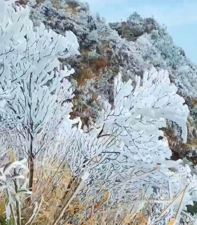 冰封的阴那山美景1--雾凇雪景