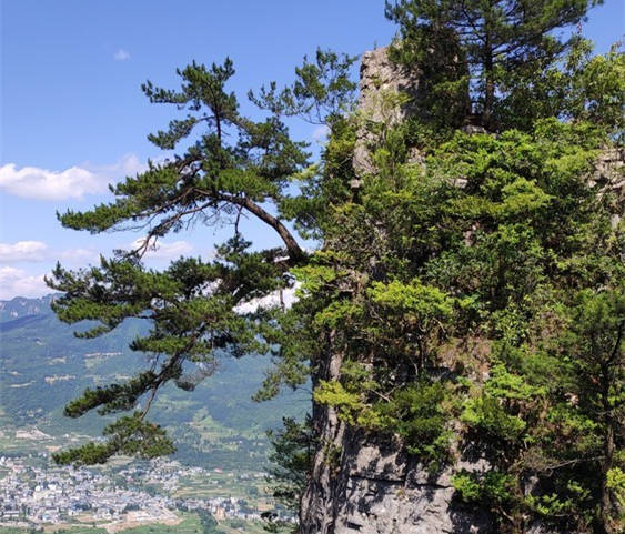 一炷香景点在哪里？迎客松景点