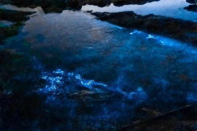 2021珠海现蓝色荧光海浪，宛若星辰大海！