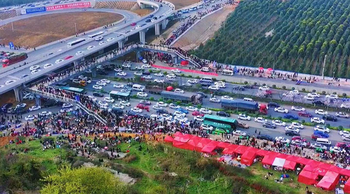 平坝万亩樱花园交通拥堵2