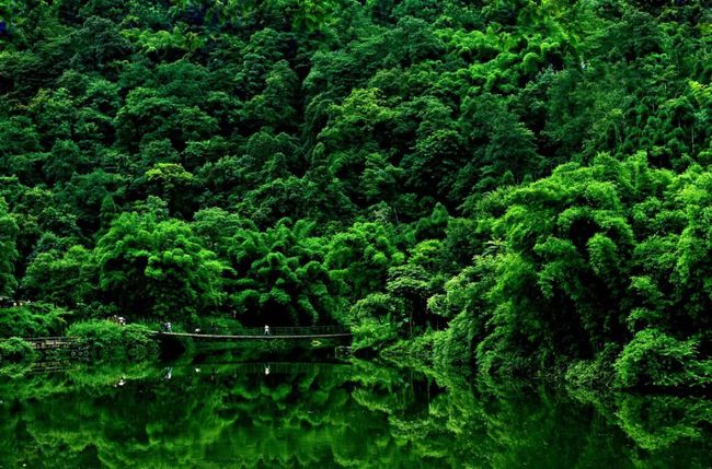 峨眉山清音阁湖面的清凉