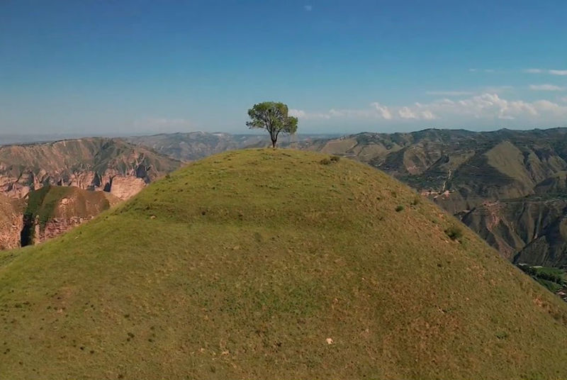 带你去看独特的风景：让广阔的天地看起来很孤寂的一棵树1