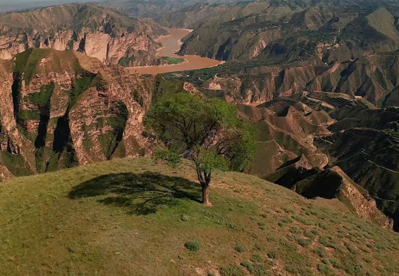 带你去看独特的风景：让广阔的天地看起来很孤寂的一棵树3