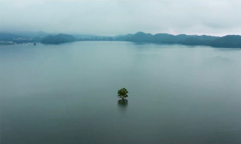 带你去看神奇的世界：江西最孤独的树--沧海一树！ 