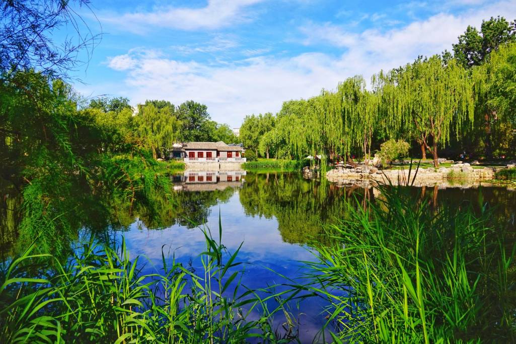 北京柳荫公园 (3)