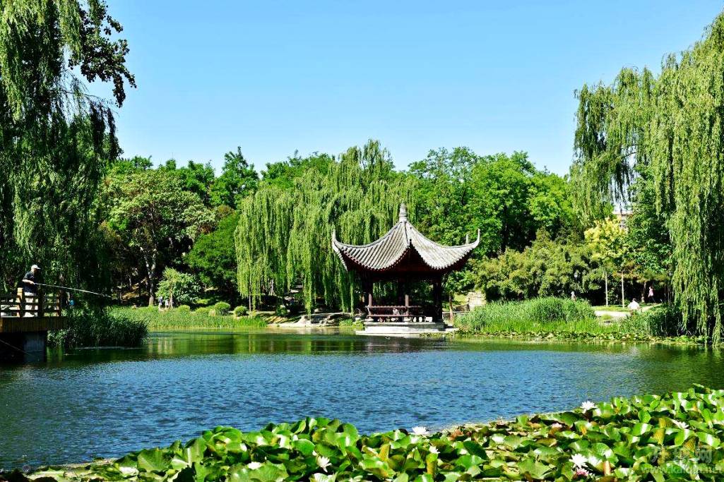 北京陶然亭公园 (3)
