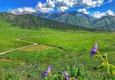 2022暑期旅游，部分景区客流超疫情前