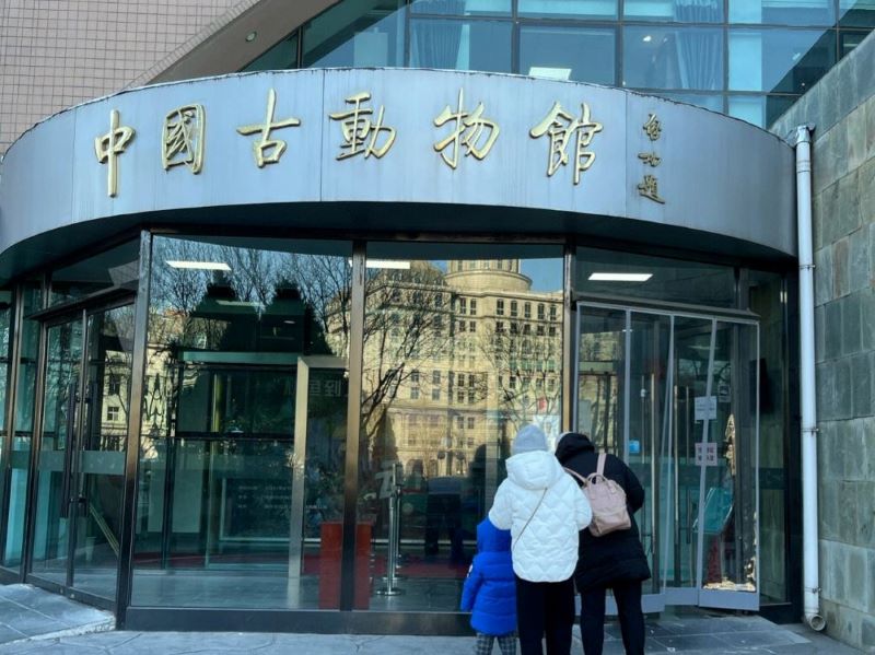 中国古动物馆1