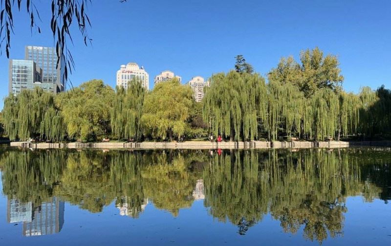 北京团结湖公园1