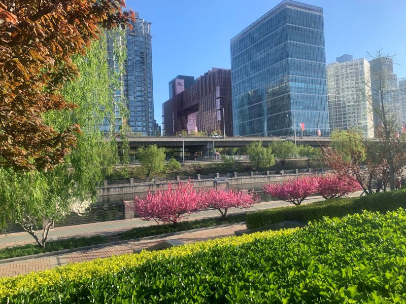 北京庆丰公园1