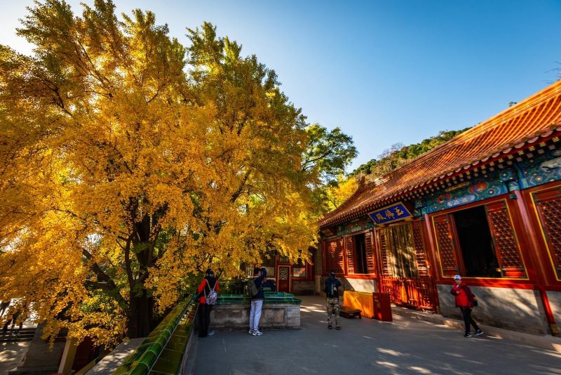 北京八大处公园2