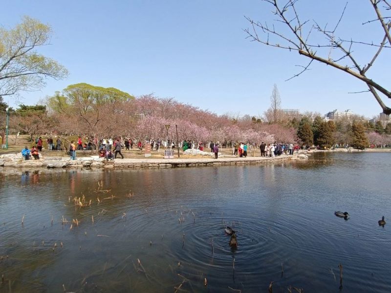 北京玉渊潭公园2