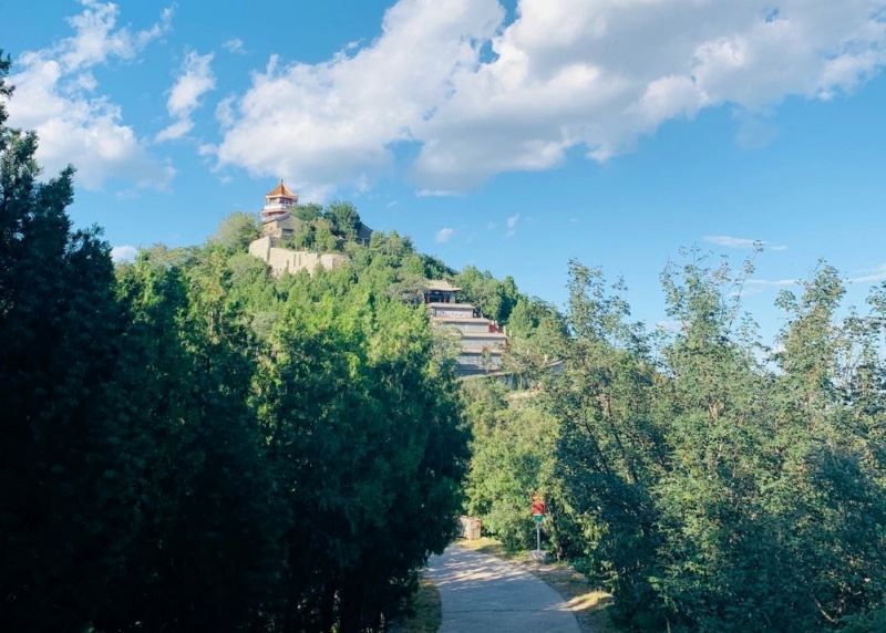 北京百望山森林公园2