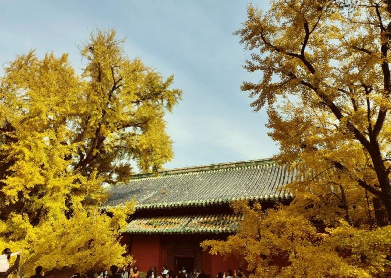 北京西山大觉寺秋景2