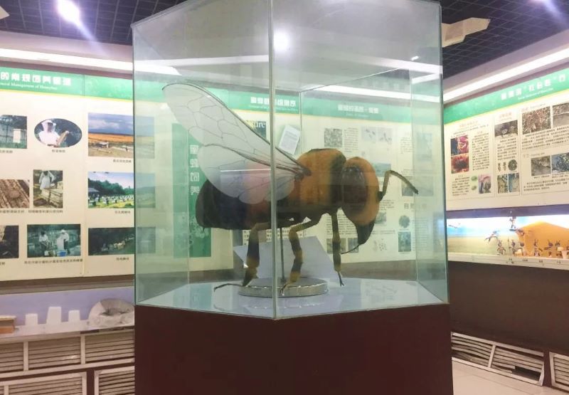 中国蜜蜂博物馆