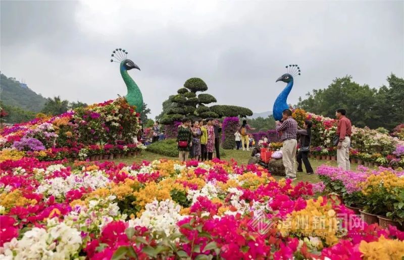 漳州花博园