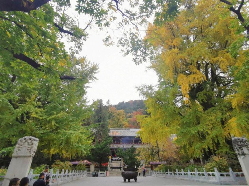 北京门头沟潭柘寺