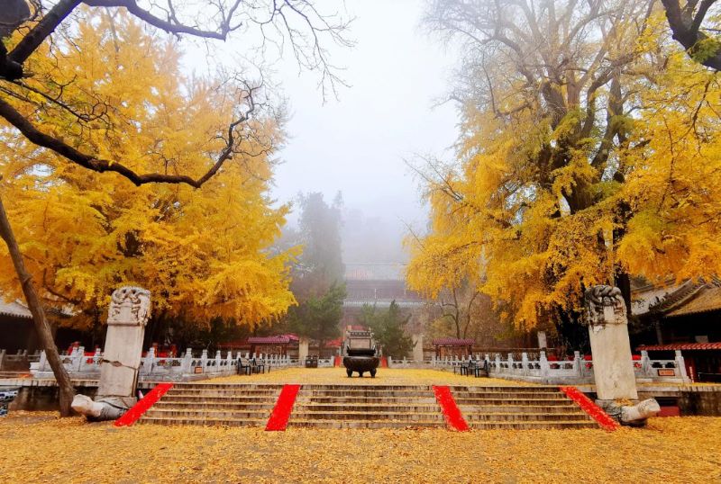 北京戒台寺