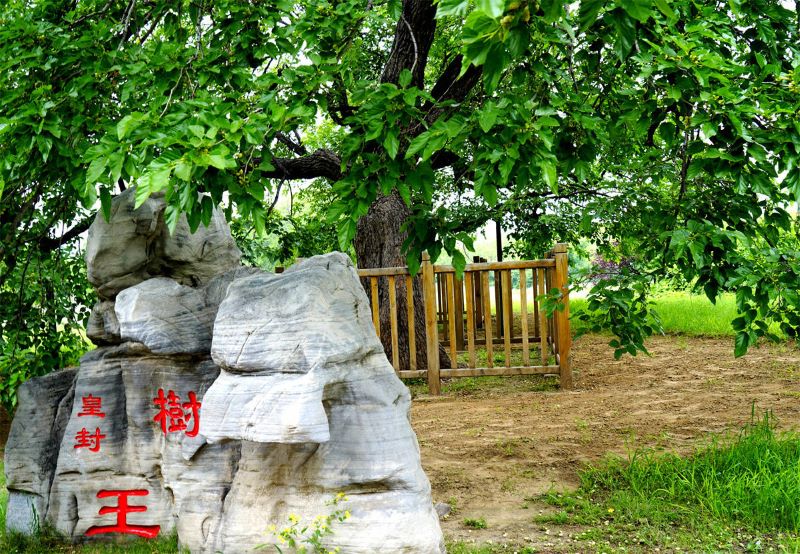 大兴御林古桑园