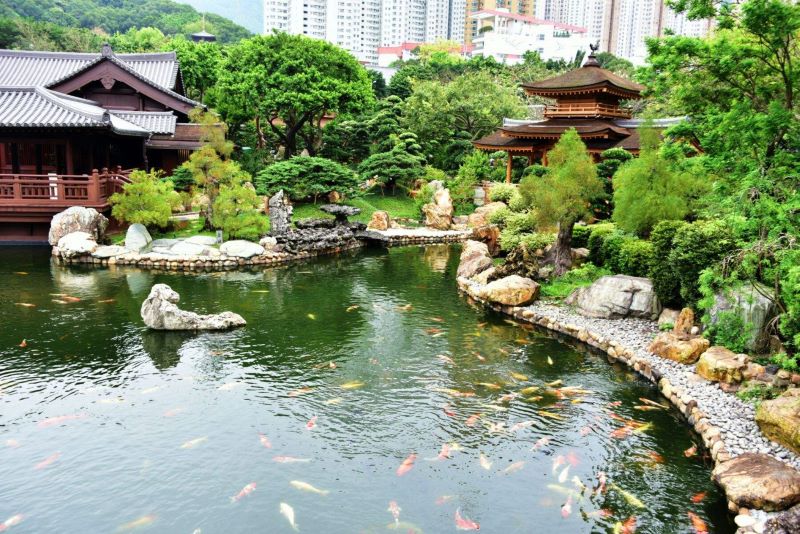 香港南莲园池