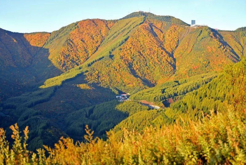 六盘山国家森林公园