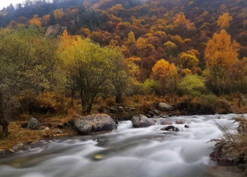 青海互助北山国家森林地质公园