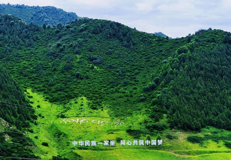 青海互助北山国家森林地质公园