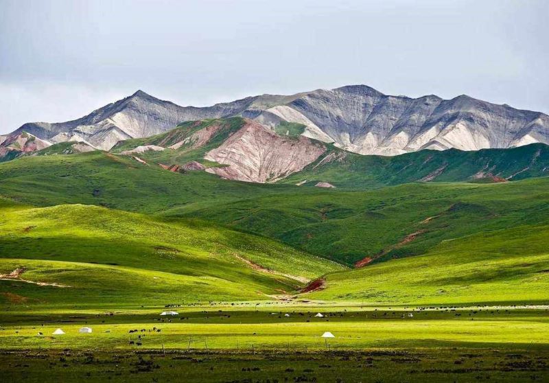 门源祁连山国际生态牧场