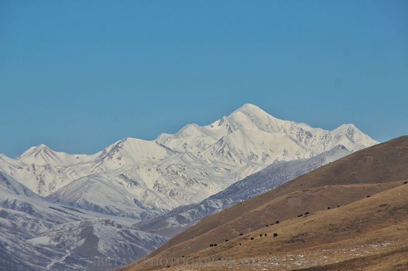 青海阿尼玛卿雪山