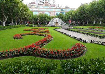 上海<font color=