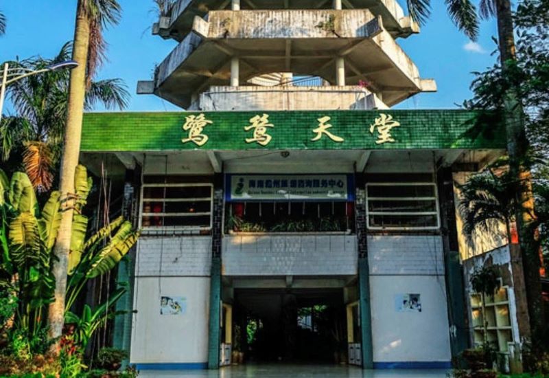 儋州鹭鸶天堂
