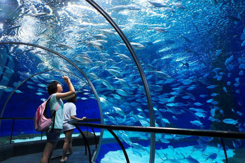 上海海洋水族馆