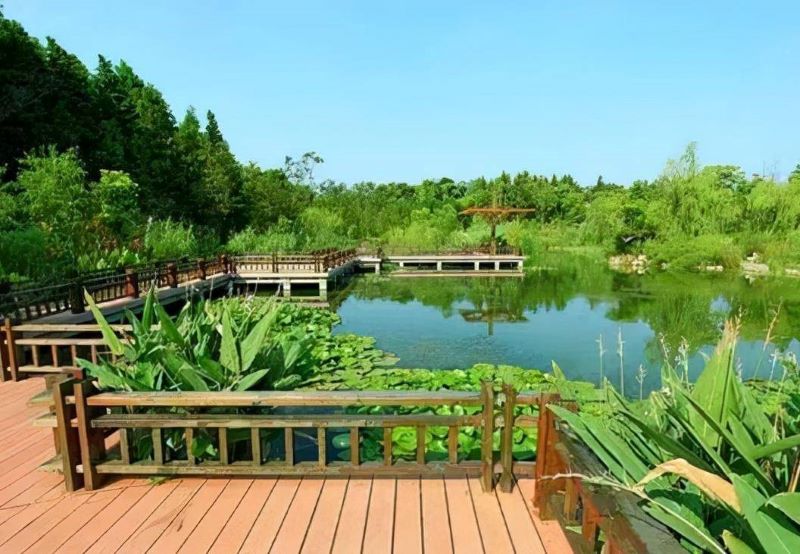上海渔乐湾生态园